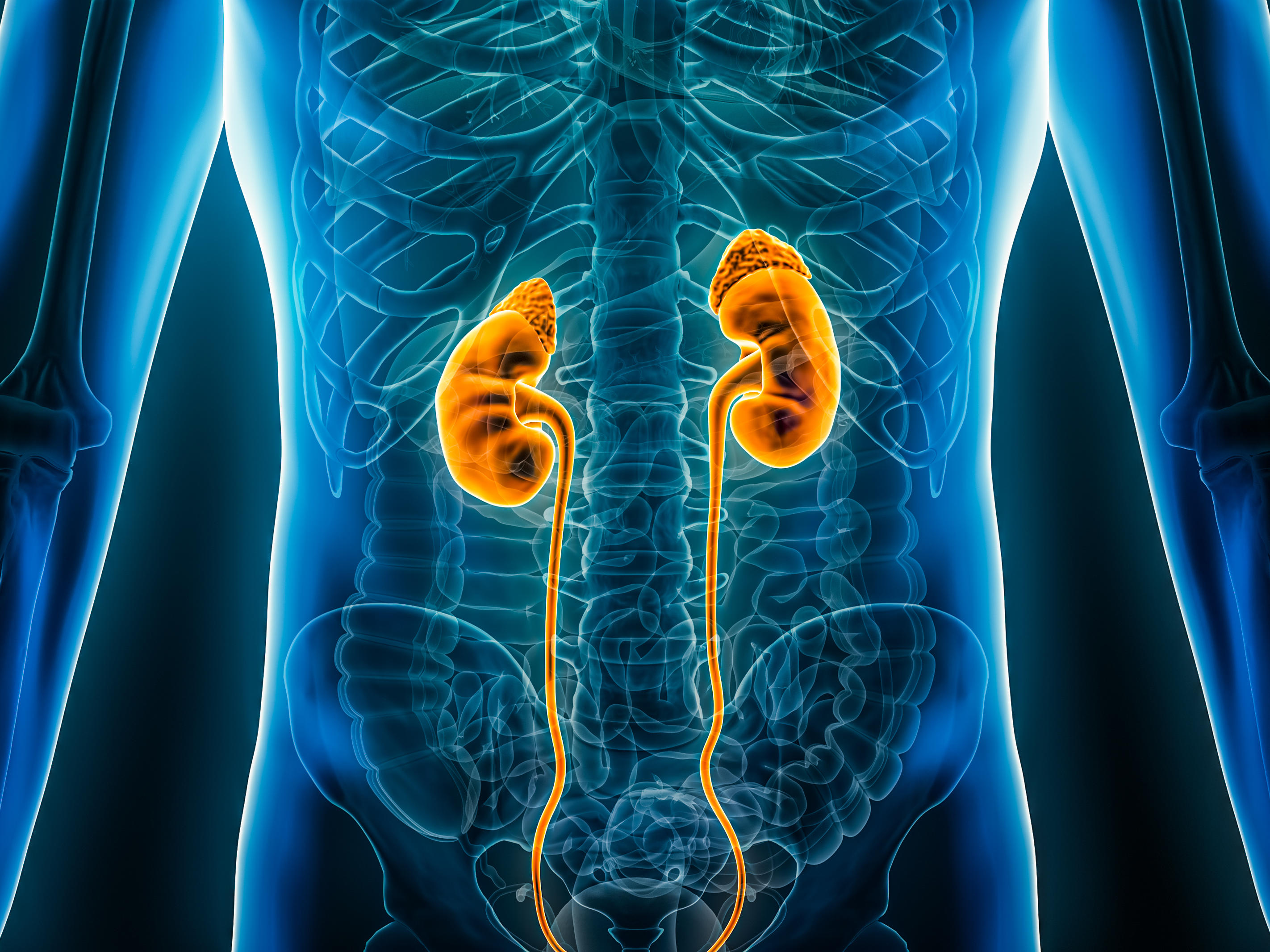 The Truth About Ox Bile And Cancer Risk: Are You At Risk?